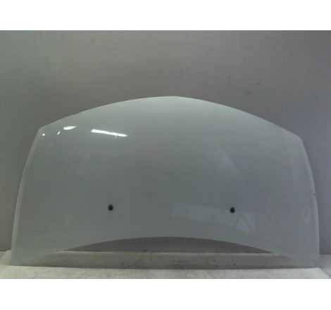 CAPOT RENAULT CLIO III Phase 2 2009-2014