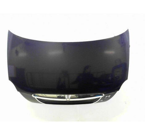 COFFRE ARRIERE ROVER 75