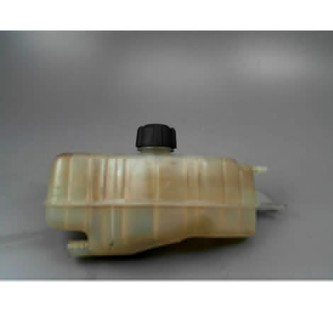 VASE EXPANSION RENAULT CLIO