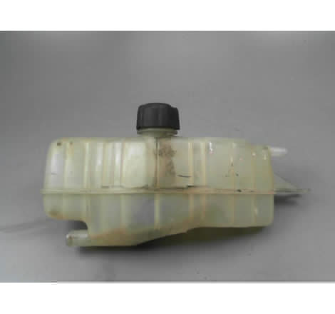 VASE EXPANSION RENAULT CLIO