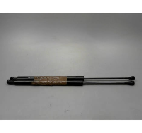VERIN GAUCHE HAYON RENAULT SCENIC MONOSP. III Phase 2 2011-2013