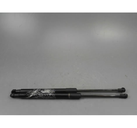 VERIN GAUCHE HAYON RENAULT TWINGO II Phase 1 2007-2011