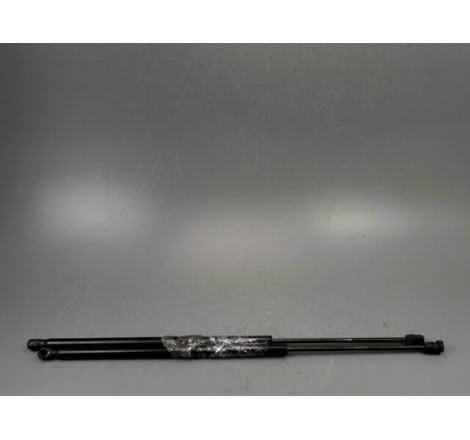 VERIN GAUCHE HAYON FORD FIESTA V Phase 2 2005-2008