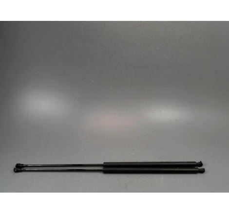 VERIN GAUCHE HAYON CITROEN XSARA PICASSO MONOSP. 1999-2010