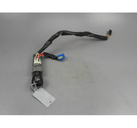 ANTIVOL DE DIRECTION PEUGEOT 206