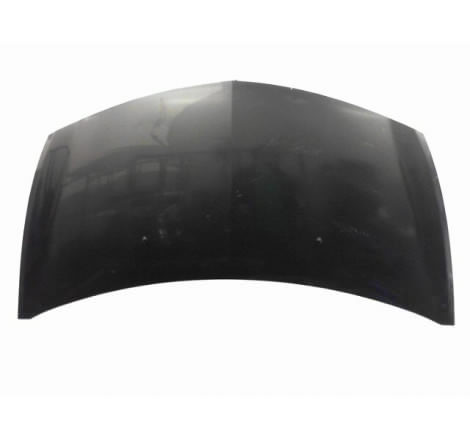 CAPOT RENAULT CLIO ESTATE III Phase 1 2008-2009