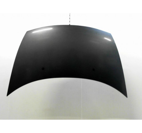 CAPOT CITROEN C3 I Phase 2 2005-2010