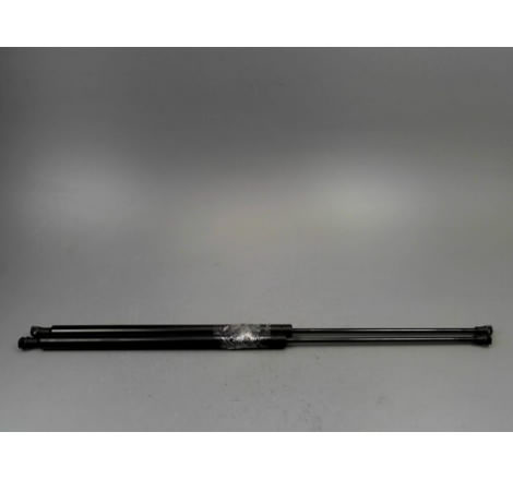 VERIN GAUCHE HAYON CITROEN XSARA PICASSO MONOSP. 1999-2010