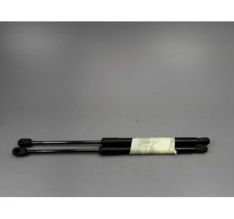 VERIN GAUCHE HAYON RENAULT MEGANE III Phase 1 2008-2012