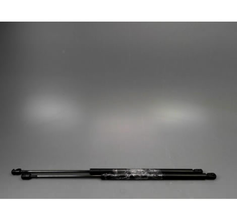 VERIN GAUCHE HAYON RENAULT MEGANE SCENIC MONOSP. I Phase 2 1999-2003