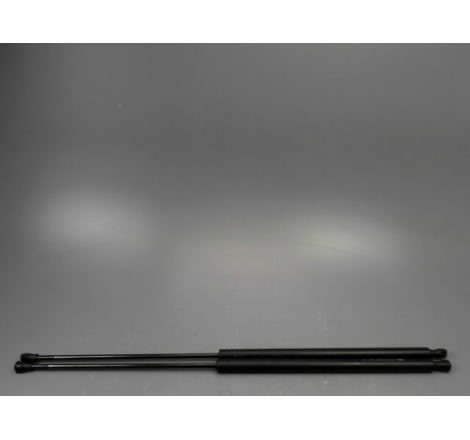 VERIN GAUCHE HAYON CITROEN XSARA PICASSO MONOSP. 1999-2010