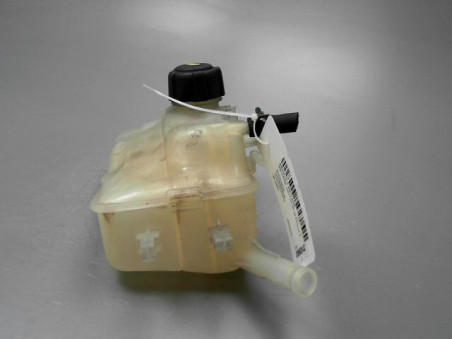 VASE EXPANSION RENAULT MEGANE 2010
