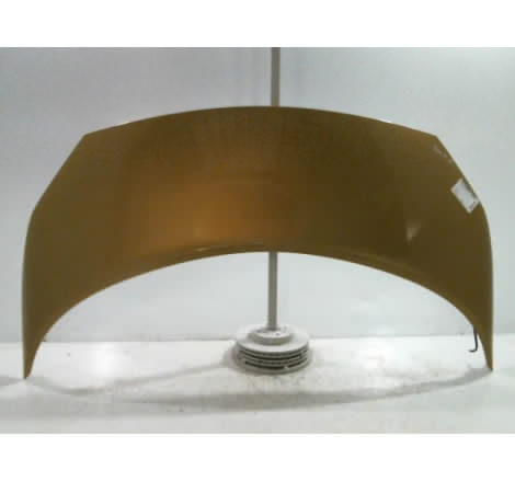 CAPOT RENAULT SCENIC MONOSP. II Phase 1 2003-2006