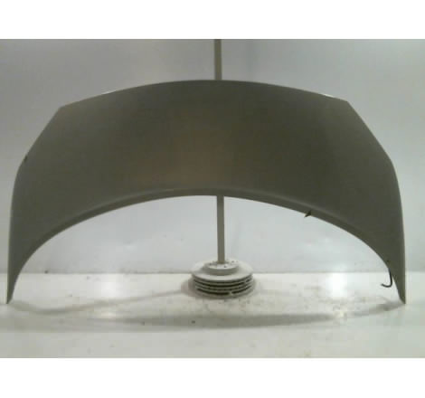 CAPOT RENAULT SCENIC MONOSP. II Phase 1 2003-2006