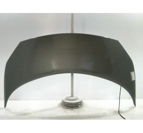 CAPOT RENAULT SCENIC MONOSP. II Phase 1 2003-2006