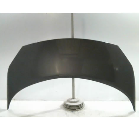 CAPOT RENAULT SCENIC MONOSP. II Phase 1 2003-2006