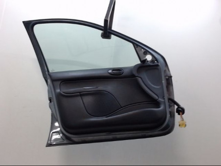 PORTE AVANT GAUCHE PEUGEOT 206 2009