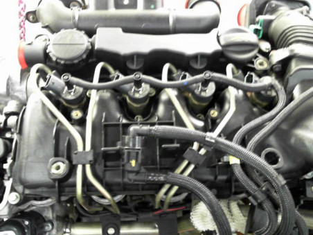 MOTEUR DIESEL FORD FUSION Phase 2 2005-... 1.6 TDCi