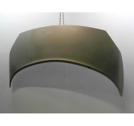 CAPOT RENAULT SCENIC MONOSP. II Phase 2 2006-2009