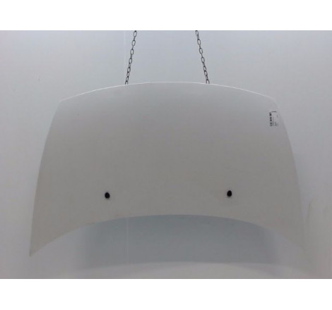 CAPOT CITROEN C3 I Phase 2 2005-2010