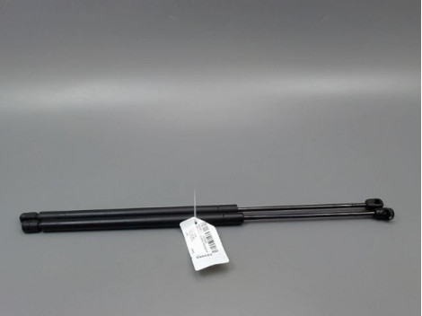 VERIN GAUCHE HAYON RENAULT MEGANE SCENIC MONOSP. I Phase 2 1999-2003