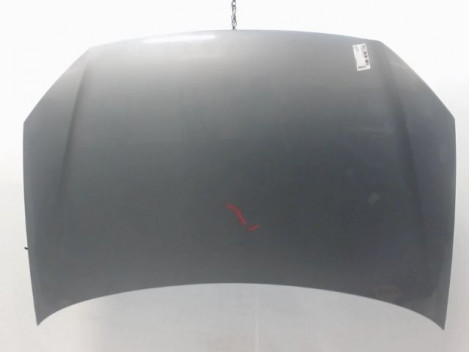 CAPOT VOLKSWAGEN POLO IV Phase 2 (9N) 2005-2009